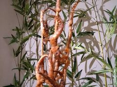 -功夫小龙虾·烧烤·江湖菜(金沙洲店)