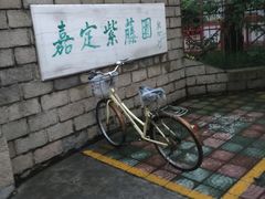 -嘉定紫藤园