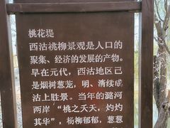 -桃花堤公园