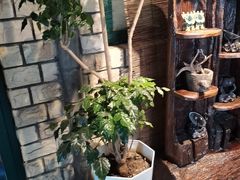 -慢丽江·云南野生菌土鸡锅(付家庄店)