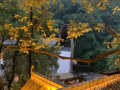 -巴倒烫陆派火锅山庄(南山总店)