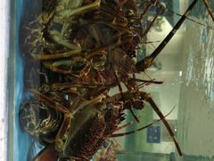 -旺顺阁海鲜广场(亚运村店)