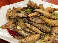 -品雅轩农家乐
