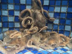 -睿柏云酒店-餐厅