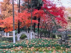 -安徽大学(龙河校区)
