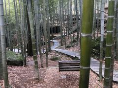 -山沟沟景区