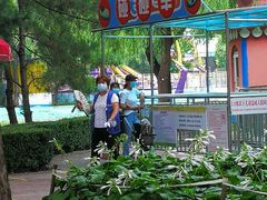 -朝阳公园游乐园