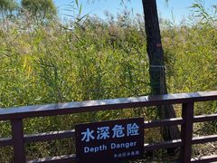 -绿堤公园