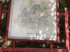 -鼎湖山风景区