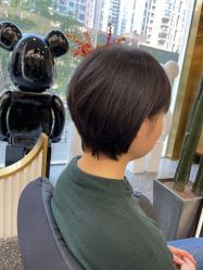 -IP SALON