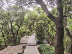 -金鸡山公园