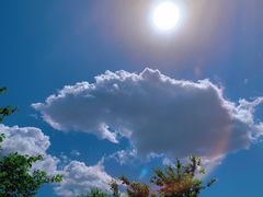 -陕西省美术博物馆