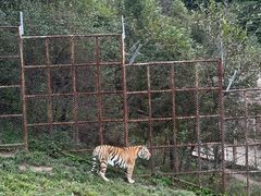 -哈尔滨北方森林动物园