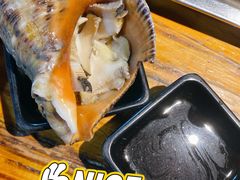 朝鲜海螺-丹东特色烤肉(南光三部店)