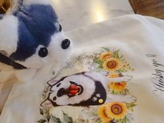 -Husky Go! 哈士奇体验馆·宠物咖啡厅狗咖