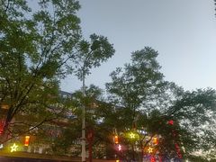 -红柳枝滩羊烧烤·银川非遗