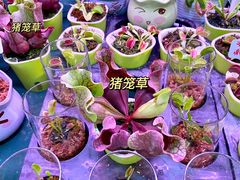 -万达广场(无锡滨湖店)