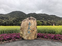 -广州市石门国家森林公园