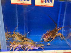 -子霖南山鲜虾面(南山总店)