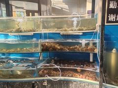 -四海蒸鲜蒸汽海鲜自助(北戴河店)