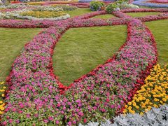 -深圳仙湖植物园