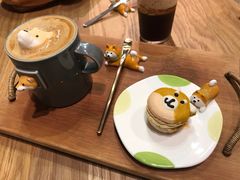 -柴务处·柴犬主题狗咖