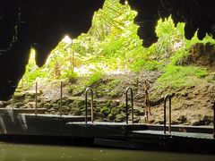 -怀托摩萤火虫洞