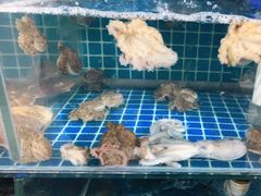 -宾朋美食海鲜餐厅·特色美食专访(兴海路店)