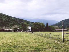 -瑞穗牧场