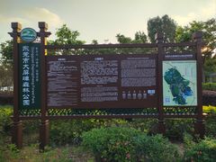 -大屏嶂森林公园