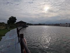 -鹅湖玫瑰文化园