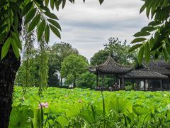 -高子水居