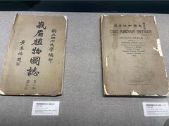 -四川大学博物馆