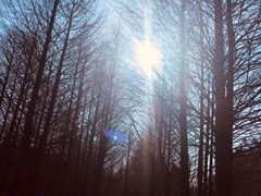 -山王坪喀斯特国家生态公园