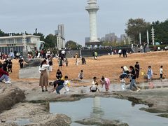 -日照灯塔风景区