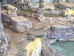 -西安曲江海洋极地公园