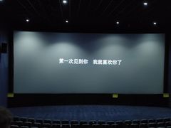 -幸福蓝海国际影城(崇安寺T12店)
