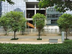 -景田北六街公园宠物主题园
