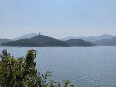 -望湖烤鱼