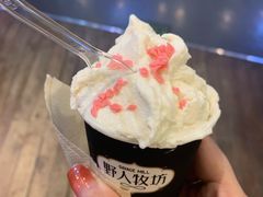 -野人牧坊Gelato(天津南开大悦城店)