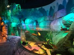 -沈阳海洋探索中心