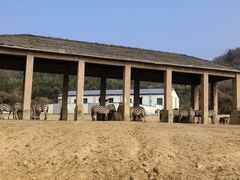 -杭州野生动物世界