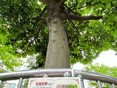 -广州神农草堂中医药博物馆