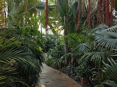 -国家植物园南园