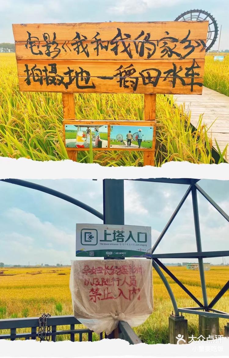 4 打开app查看高清大图 小蟹要吃饭 11月10日 20:00 关注 稻梦空  