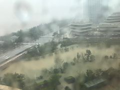 -舟山希尔顿酒店