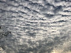 -白石龙音乐公园