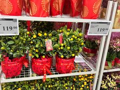 -山姆会员商店(上海浦东店)