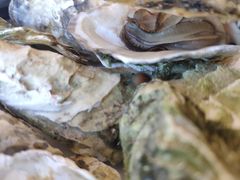 -港畔赶海蒸汽海鲜烧烤自助(仙螺岛店)