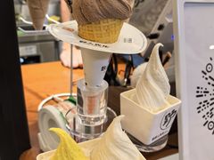 -野人先生Gelato(上海长宁龙之梦店)